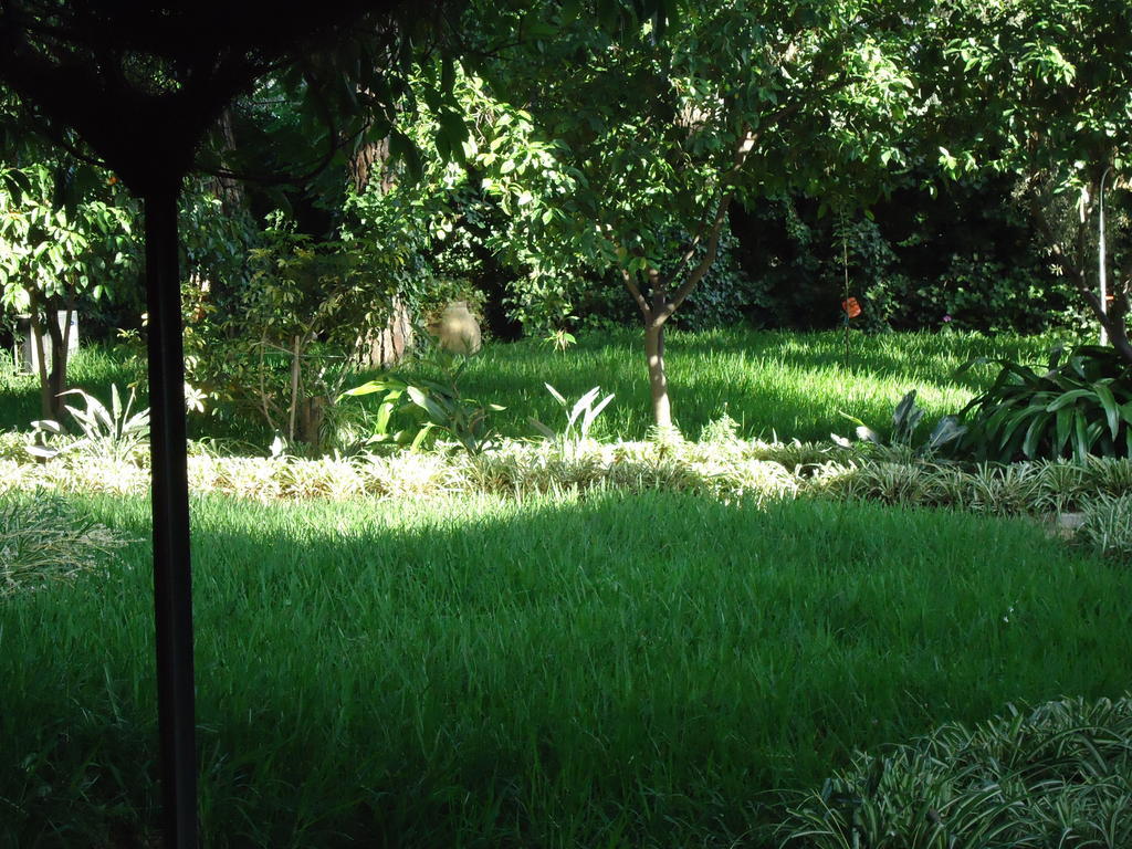 B&B Cottage Dei Consoli Sant'Agata Li Battiati Εξωτερικό φωτογραφία